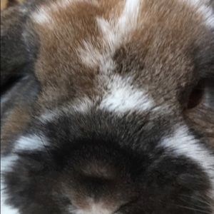 Meet your Posher, Beth